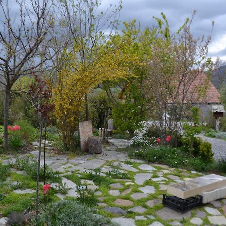 Petit Appartement En Montagne Saint-Julien-en-Champsaur Exteriör bild