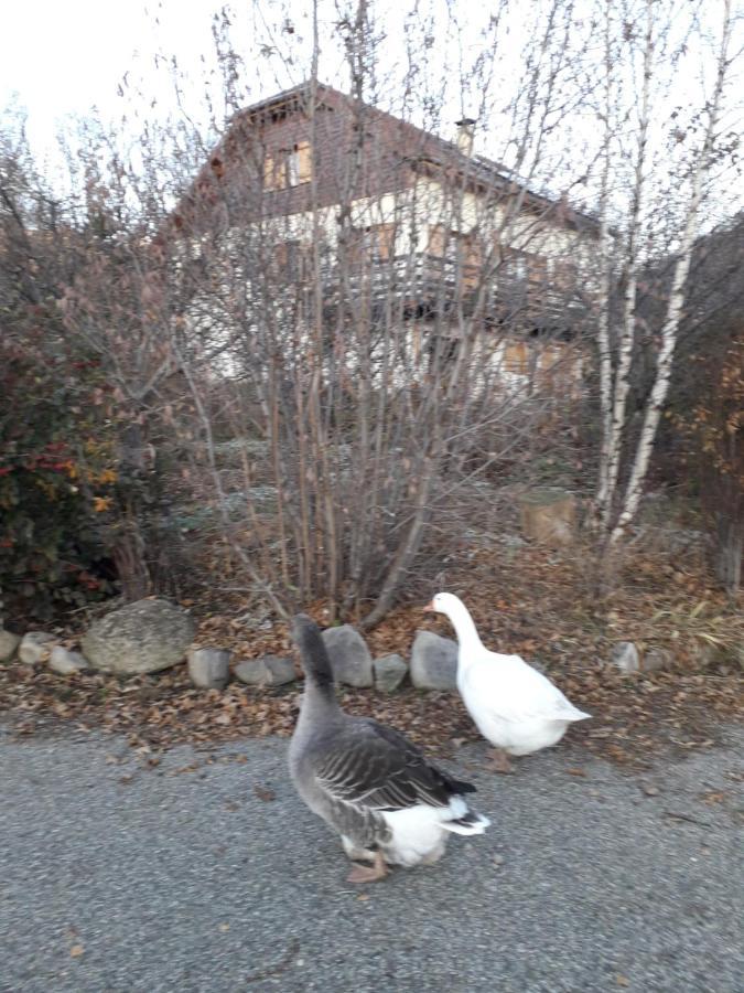 Petit Appartement En Montagne Saint-Julien-en-Champsaur Exteriör bild
