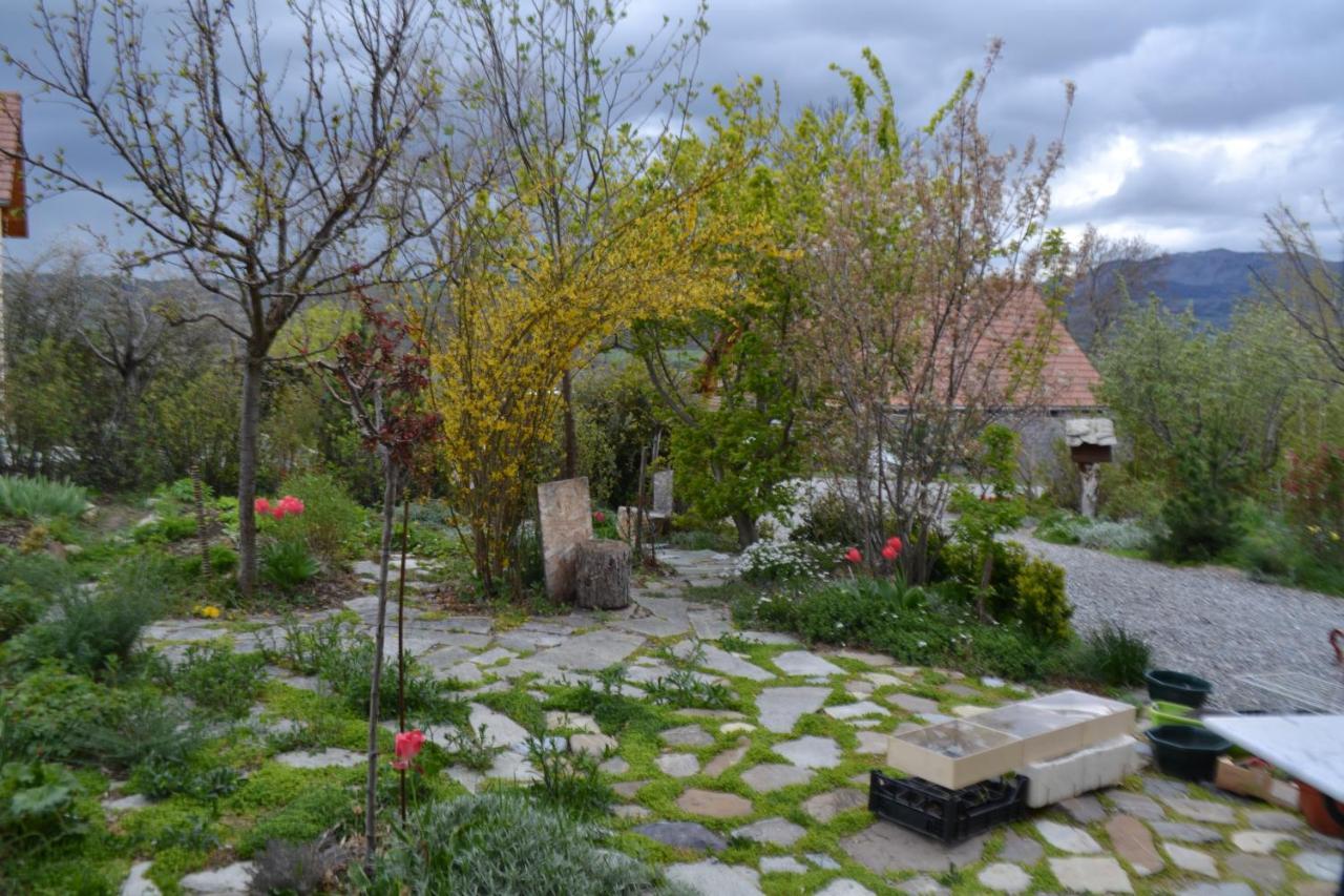 Petit Appartement En Montagne Saint-Julien-en-Champsaur Exteriör bild